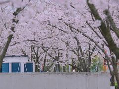 -龙美术馆(西岸馆)