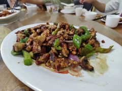 -洞背山庄(洞背院区式管理小区店)