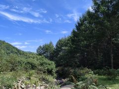 -大连天门山国家森林公园