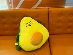 -油梨树 AVOCADO TREE(亮马桥店)