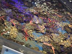 -澜悦港海鲜体验主题餐厅