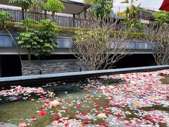 -明谷行馆·温泉