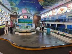 -益利大酒楼(井岸店)