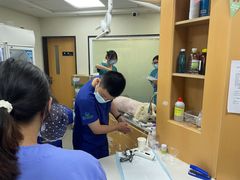 -联合动物医院(光谷诊疗中心)