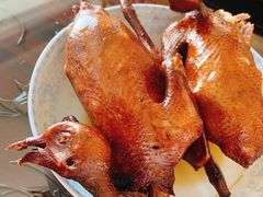 -光明刘冰乳鸽店(光明法政北路店)