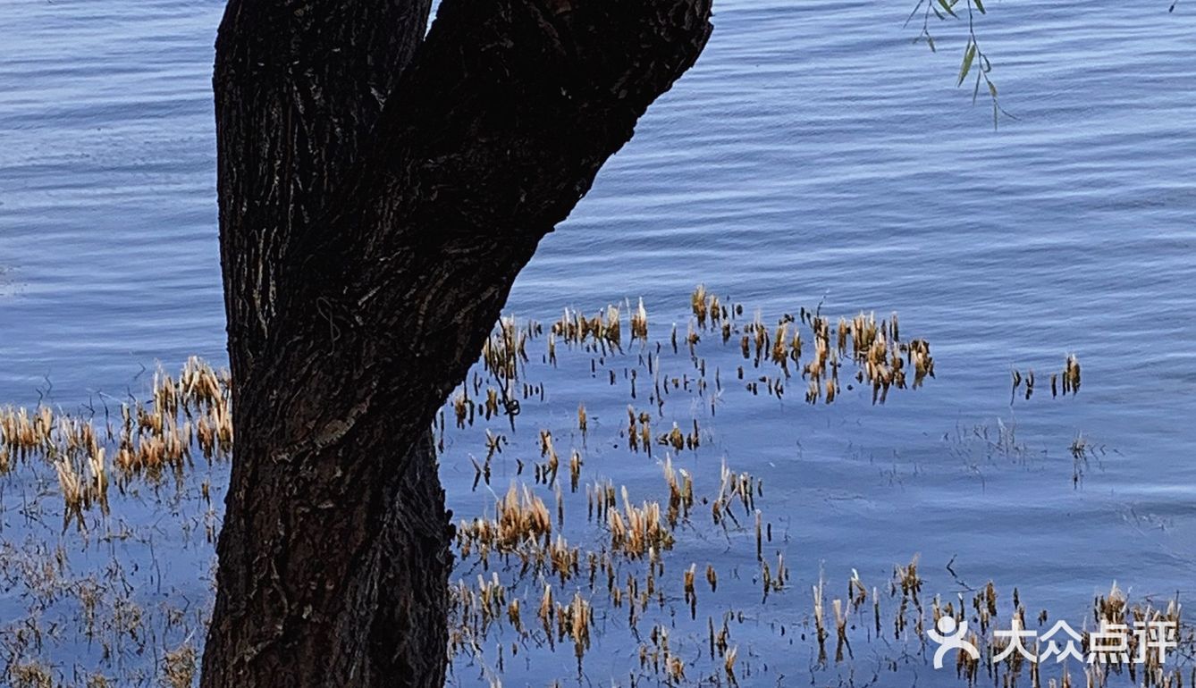 大理日记📸如果生活不如意 不如一路向西去大理