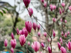 -沐仙湖湿地公园
