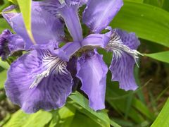 -天毓山庄·餐厅