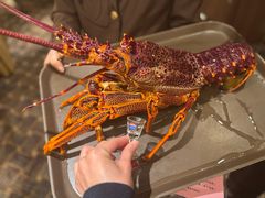 -利苑酒家(北角店)