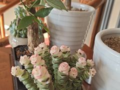 -正清和·推拿养生(第五郡店)