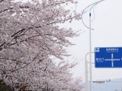 -江南大学(蠡湖校区)