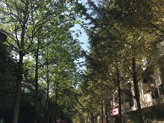 -浙江科技大学(小和山校区)