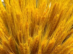 -丁字口海鲜热炒·烧烤大排档