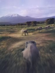 -翱翔飞越地平线