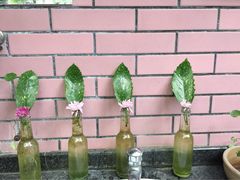 iphone_upload_pic-老渔家鲜鱼轩(南浦横街店)