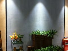 -绿茵阁(体育西分店)