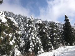 -武陵山森林公园
