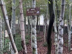-李时珍纪念馆