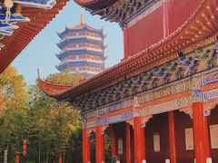 -皇罗禅寺