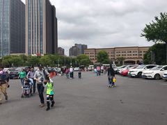 -大宁郁金香公园-停车场