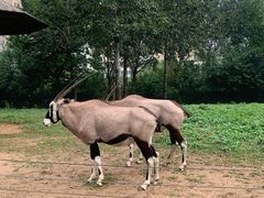 -大连森林动物园