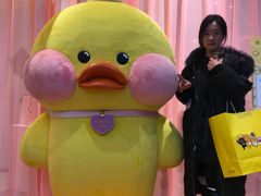 -KAKAO FRIENDS(弘大店)