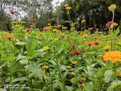 -森林公园(尖草坪区)