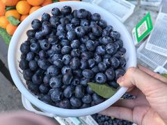 -南坛综合农贸市场