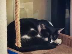 -屋里家延边朝鲜族冷面(梅林3店)