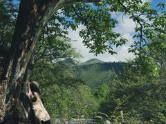 -普达措国家公园
