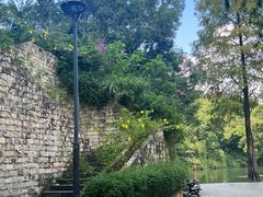 -深圳仙湖植物园