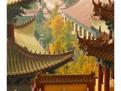 -正觉寺