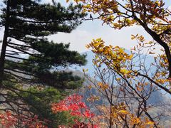-丹东天桥沟景区