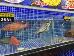 -明记海鲜大排档(巽寮湾店)