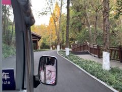 -常德桃花源景区