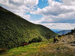 -北京灵山风景区