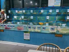 水产区-锦里海景海鲜餐厅.三亚老字号(亚龙湾中心广场店)