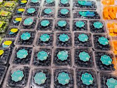 -万达广场(南京江宁店)