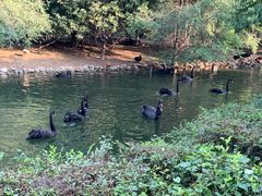 -长白岛森林公园