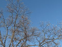 -祝甸砖窑文化馆