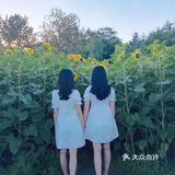 奥森百亩向日葵开啦🌻太美太出片了🌻 