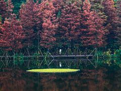 -重庆彩云湖湿地公园