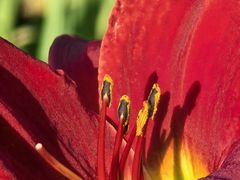 -汉长安城未央宫国家考古遗址公园