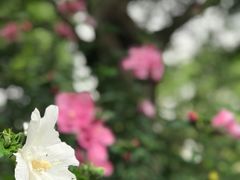 -苏州河梦清园环保主题公园