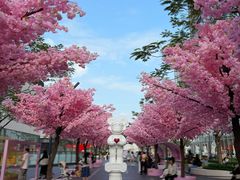 -东莞松山湖万象汇