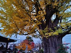 -医王山·飞騨国分寺