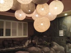-汤泉良子·沐足·颂钵疗愈·SPA(珠江新城店)