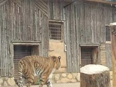 -昆明动物园