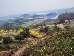 -密云玫瑰情园