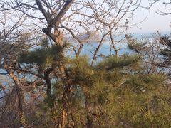-棒棰岛宾馆景区